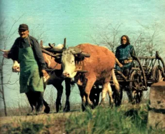 Falusi életkép, 1970-es évek.
 Képes Újság