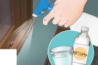 Permetezd körbe a házad ezzel a házi spary-el, és örökre elmenekülnek onnan a hangyák. A kertben is bevetheted! –