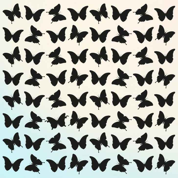 find the odd butterfly | Marie Claire