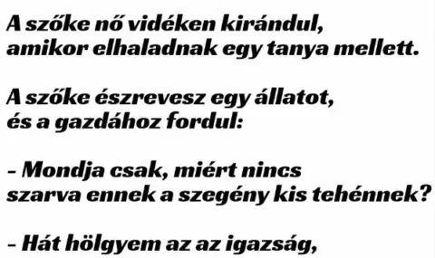 Vicc: A szőke nő vidéken kirándul, amikor elhaladnak egy tanya mellett