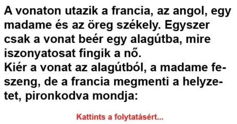 Vicc: A vonaton utazik a francia, az angol, egy madame és az öreg székely