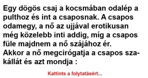 Vicc: Egy dögös csaj a kocsmában odalép a pulthoz és int a csaposnak