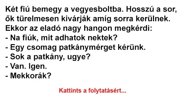 Vicc: Két fiú bemegy a vegyesboltba Vicc: Két fiú bemegy a vegyesboltba