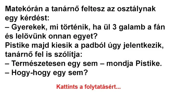 Vicc: Matekórán a tanárnő feltesz az osztálynak egy kérdést Vicc: Matekórán a tanárnő feltesz az osztálynak egy kérdést