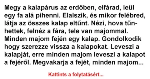 Vicc: Megy a kalapárus az erdőben, elfárad, leül egy fa Vicc: Megy a kalapárus az erdőben, elfárad, leül egy fa alá pihenni