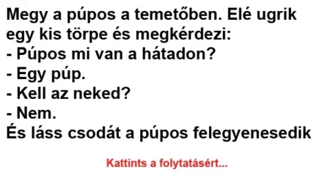 Vicc: Megy a púpos a temetőben