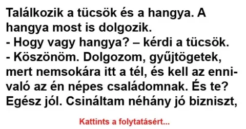 Vicc: Találkozik a tücsök és a hangya