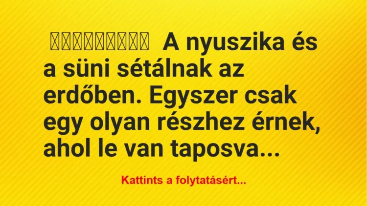 A nyuszika és a süni sétálnak az erdőben A nyuszika és a süni sétálnak az erdőben