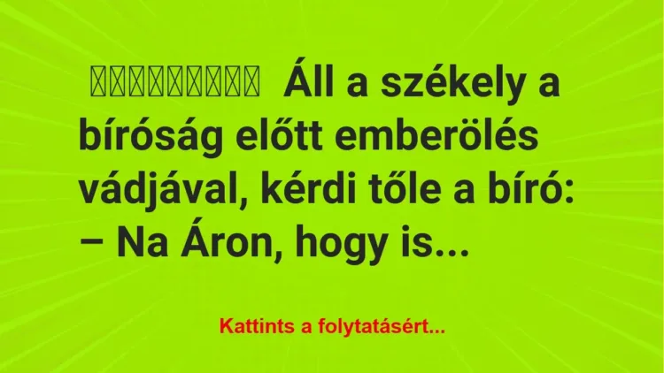 Áll a székely a bíróság előtt emberölés vádjával Áll a székely a bíróság előtt emberölés vádjával