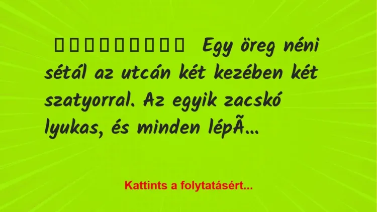 Egy öreg néni sétál az utcán két kezében két szatyorral Egy öreg néni sétál az utcán két kezében két szatyorral