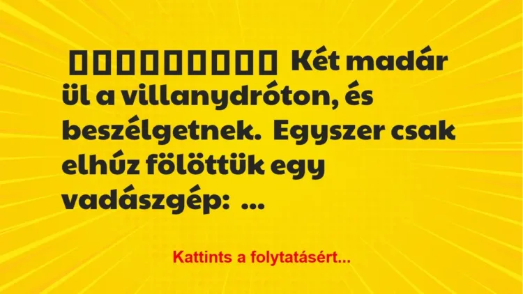 Két madár ül a villanydróton, és beszélgetnek Két madár ül a villanydróton, és beszélgetnek