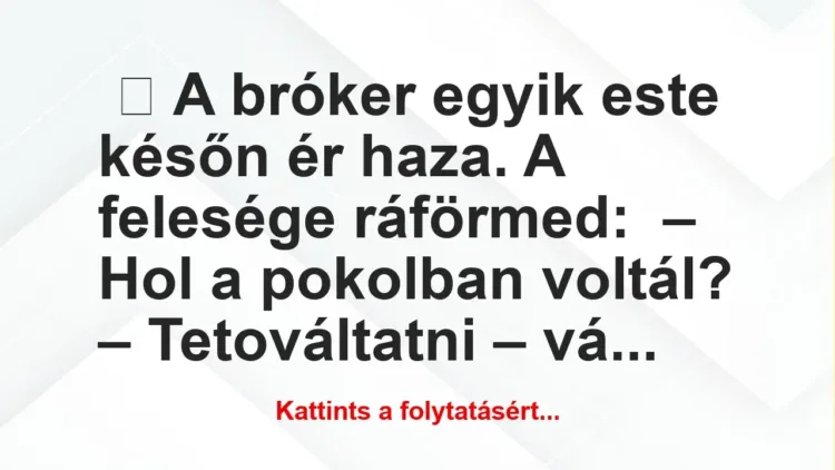 Vicc: A bróker egyik este későn ér haza Vicc: A bróker egyik este későn ér haza