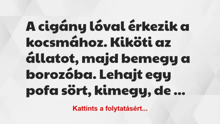 Vicc: A cigány lóval érkezik a kocsmához. Kiköti az állatot, majd bemegy a… Vicc: A cigány lóval érkezik a kocsmához. Kiköti az állatot, majd bemegy a…