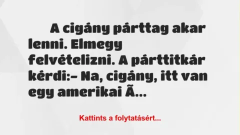 Vicc: 
		  
		  A cigány párttag akar lenni. Elmegy felvételizni….