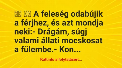 Vicc:
A feleség odabújik a férjhez, és azt mondja… Vicc:
A feleség odabújik a férjhez, és azt mondja…