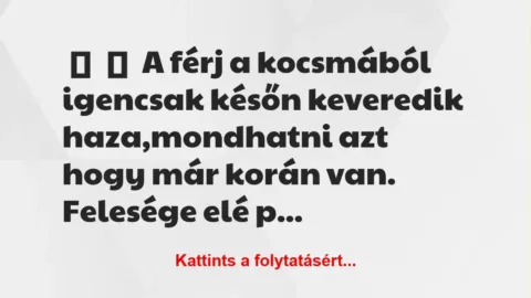Vicc: 
	    	    A férj a kocsmából igencsak későn keveredik haza,mondhatni …