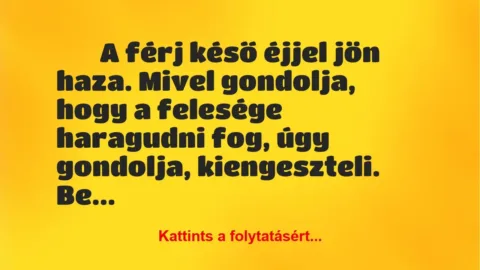 Vicc: 
		  
		  A férj késő éjjel jön haza. Mivel gondolja, hogy …