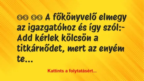 Vicc: 
		  
		  A főkönyvelő elmegy az igazgatóhoz és így…