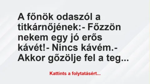 Vicc: A főnök odaszól a titkárnőjének:

– Főzzön nekem egy jó erős…