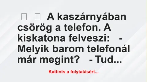 Vicc: 
	    	    A kaszárnyában csörög a telefon. A kiskatona…