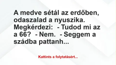 Vicc: A medve sétál az erdőben, odaszalad a nyuszika. Megkérdezi:

-…