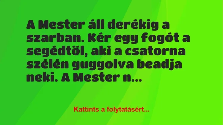 Vicc: A Mester áll derékig a szarban. Kér egy fogót a segédtől, aki a… Vicc: A Mester áll derékig a szarban. Kér egy fogót a segédtől, aki a…