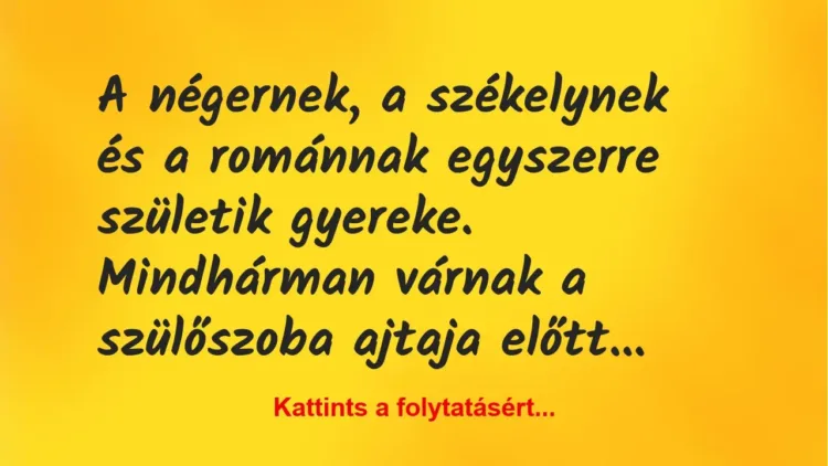 Vicc: A négernek, a székelynek és a románnak egyszerre születik gyereke…. Vicc: A négernek, a székelynek és a románnak egyszerre születik gyereke….