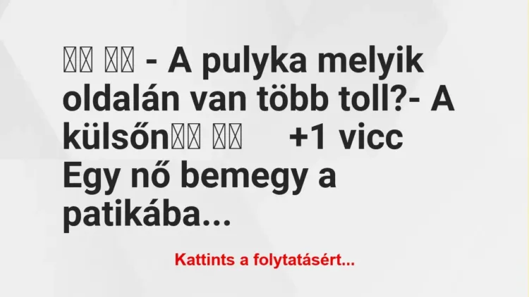 Vicc:
– A pulyka melyik oldalán van több toll?- A… Vicc:
– A pulyka melyik oldalán van több toll?- A…
