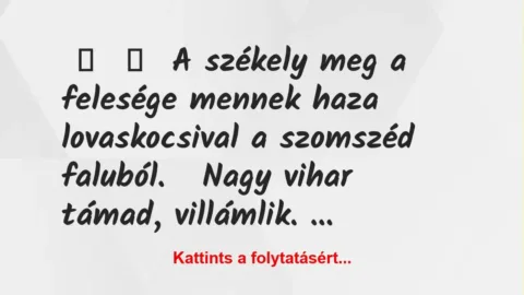 Vicc: 
	    	    A székely meg a felesége mennek haza lovaskocsival a…