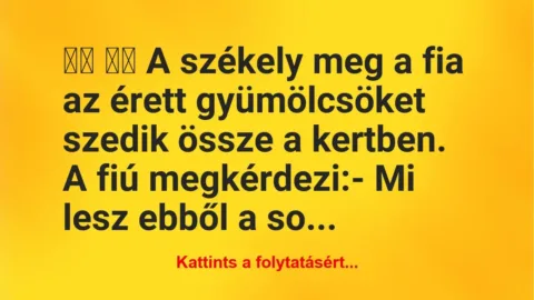 Vicc:
A székely meg a fia az érett gyümölcsöket szedik … Vicc:
A székely meg a fia az érett gyümölcsöket szedik …