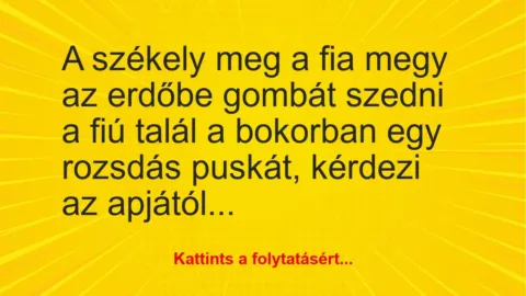 Vicc: A székely meg a fia megy az erdőbe gombát szedni a fiú talál a…