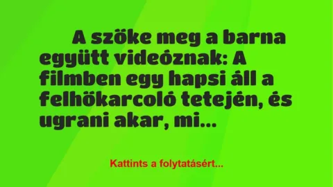 Vicc: 
		  
		  A szőke meg a barna együtt videóznak: A filmben…