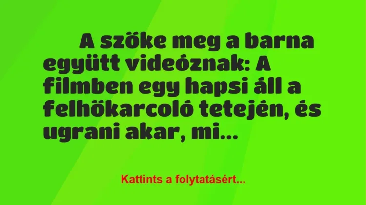 Vicc: A szőke meg a barna együtt videóznak: A filmben…