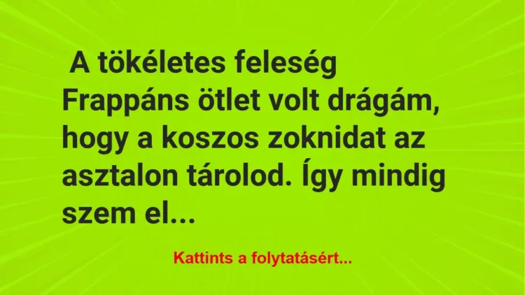 Vicc: A tökéletes feleség Vicc: A tökéletes feleség