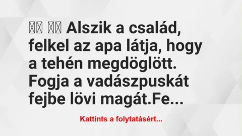 Vicc: 
		  
		  Alszik a család, felkel az apa látja, hogy a…