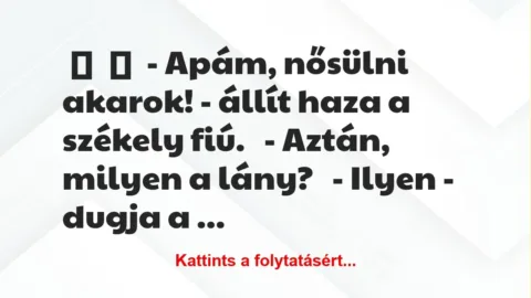 Vicc: 
	    	    – Apám, nősülni akarok! – állít haza a székely…