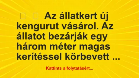 Vicc:
Az állatkert új kengurut vásárol. Az állatot bezárják egy… Vicc:
Az állatkert új kengurut vásárol. Az állatot bezárják egy…