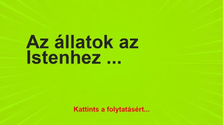 Vicc: Az állatok az Istenhez fordulnak kérdéseikkel Vicc: Az állatok az Istenhez fordulnak kérdéseikkel