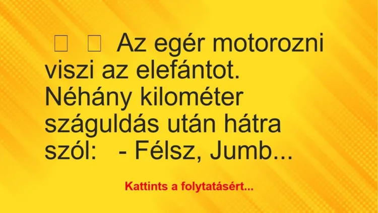 Vicc:
Az egér motorozni viszi az elefántot. Néhány kilométer… Vicc:
Az egér motorozni viszi az elefántot. Néhány kilométer…