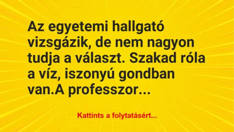 Vicc: Az egyetemi hallgató vizsgázik, de nem nagyon tudja a választ. Szakad… Vicc: Az egyetemi hallgató vizsgázik, de nem nagyon tudja a választ. Szakad…