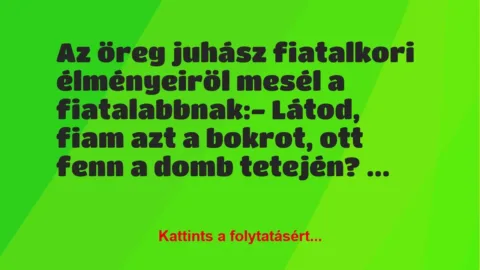 Vicc: Az öreg juhász fiatalkori élményeiröl mesél a fiatalabbnak:
-… Vicc: Az öreg juhász fiatalkori élményeiröl mesél a fiatalabbnak:
-…