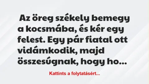 Vicc: Az öreg székely bemegy a kocsmába