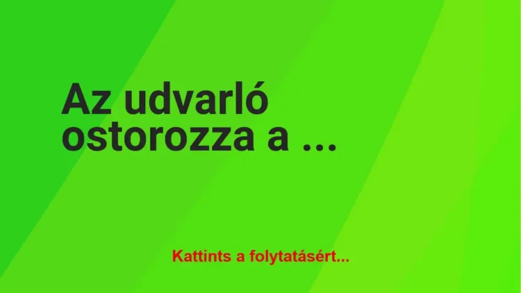 Vicc: Az udvarló ostorozza a lányt Vicc: Az udvarló ostorozza a lányt