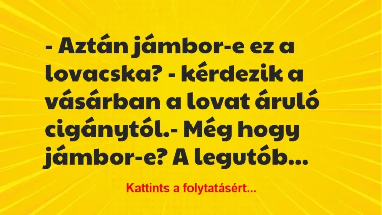 Vicc: – Aztán jámbor-e ez a lovacska? – kérdezik a vásárban a lovat áruló… Vicc: – Aztán jámbor-e ez a lovacska? – kérdezik a vásárban a lovat áruló…