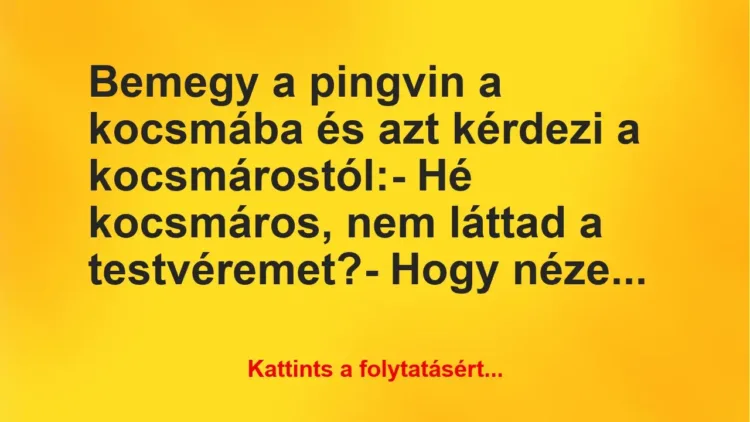 Vicc: Bemegy a pingvin a kocsmába és azt kérdezi a kocsmárostól:
– Hé… Vicc: Bemegy a pingvin a kocsmába és azt kérdezi a kocsmárostól:
– Hé…