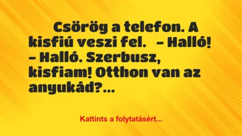 Vicc: 
	    	    Csörög a telefon. A kisfiú veszi fel.


-…