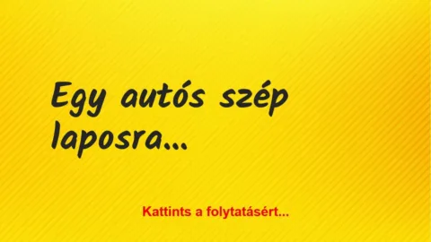 Vicc: Egy autós szép laposra vasal egy kakast az országúton Vicc: Egy autós szép laposra vasal egy kakast az országúton