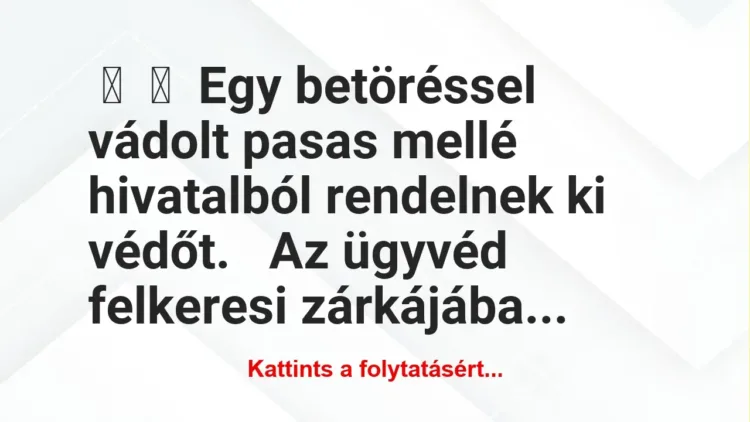 Vicc:
Egy betöréssel vádolt pasas mellé hivatalból rendelnek ki… Vicc:
Egy betöréssel vádolt pasas mellé hivatalból rendelnek ki…