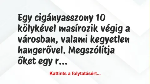 Vicc: Egy cigányasszony 10 kölykével masírozik végig a városban, valami…