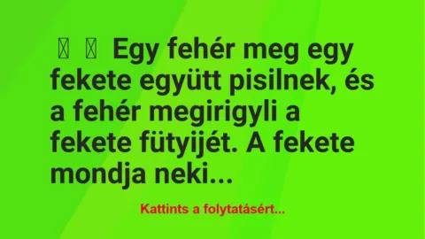 Vicc: 
	    	    Egy fehér meg egy fekete együtt pisilnek, és a fehér…